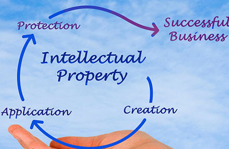 Intellectual Property Rights    